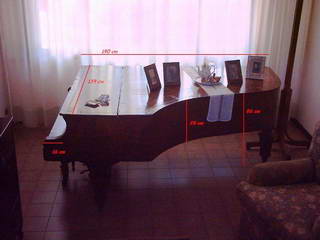 Pianoforte  Riedl