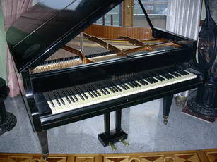 Pianoforte Bosendorfer